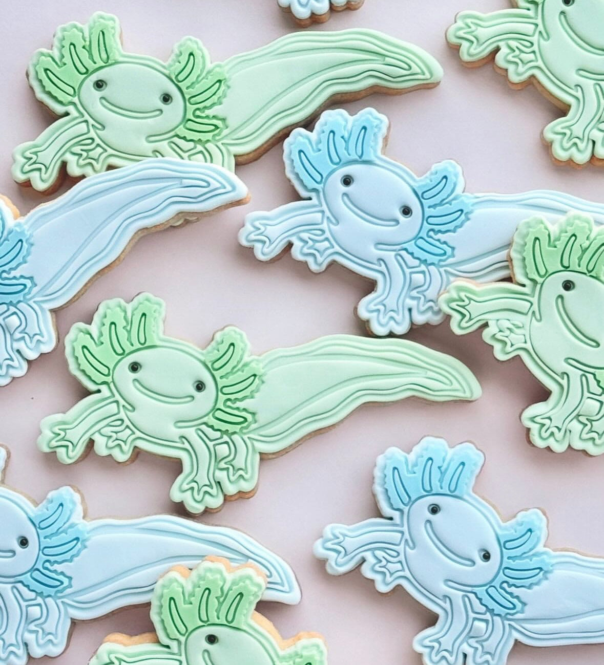 Axolotls - Pack of 15 cookies
