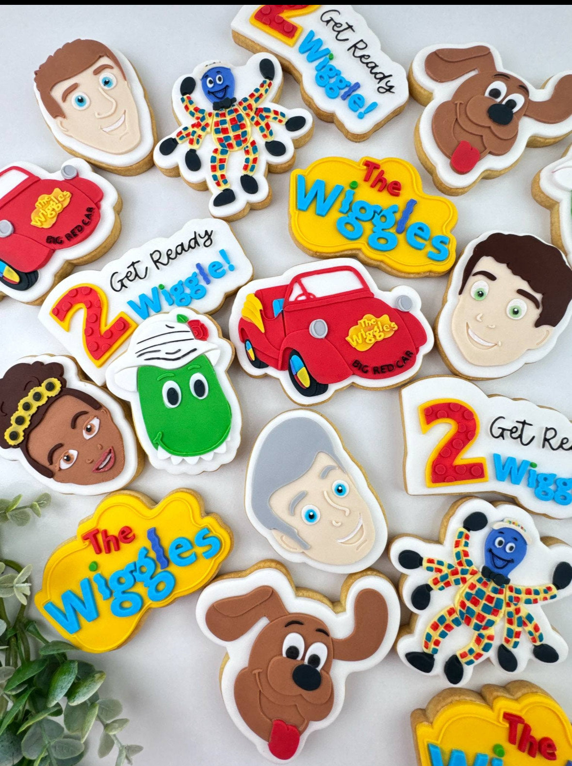 Get Ready 2 Wiggle- Pack of 15 Cookies