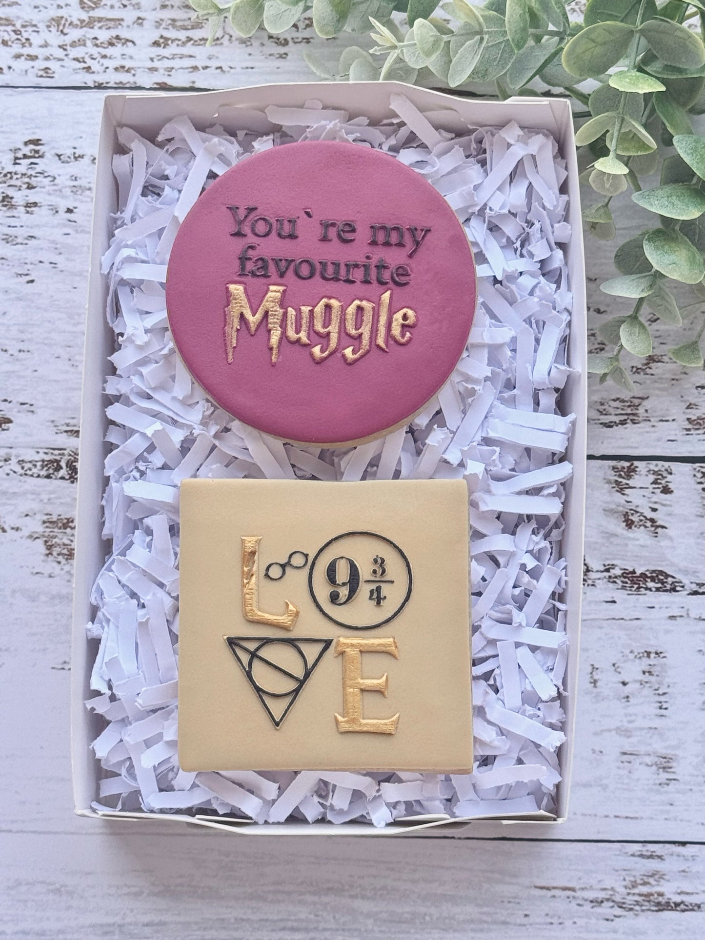 You’re my favourite muggle